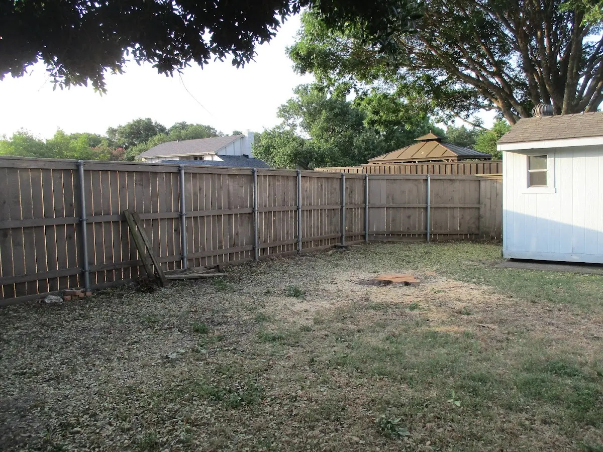 Cleared yard after professional tree removal in Rand